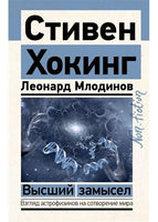 Высший замысел.  Хокинг Стивен, Млодинов Л.