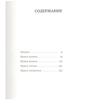 Мальчики Бёрджессы. Страут Элизабет