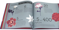 Я считаю всё. Де Лагози Жюстин, Мартен Рафаэль