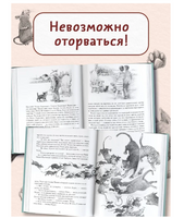 Большая книга приключений кота Тихона