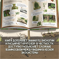 Елка и ее родственники
