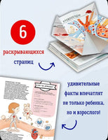 Секреты тела человека. Книга с секретами.