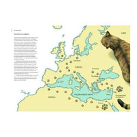 Как кошка приручила человека: история кошек и людей