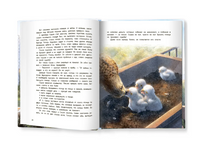 Мои соседи соколы Printed books Феникс-Премьер