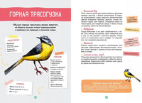 Птицы. Энциклопедия юного исследователя