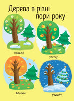 Моя перша енциклопедія : Як виростає дерево? (у)