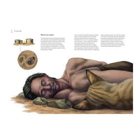 Как кошка приручила человека: история кошек и людей