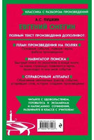 Евгений Онегин. Классика с разбором произведений