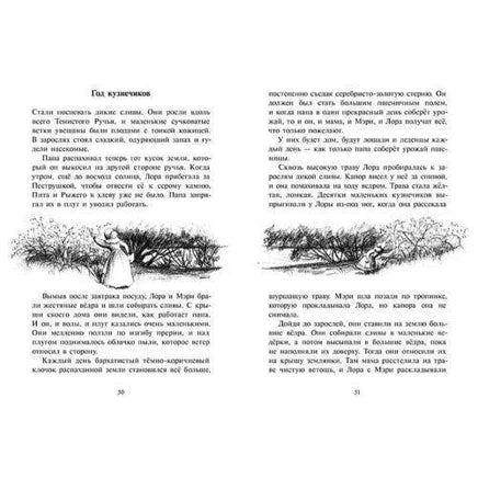 На берегу Тенистого Ручья Printed books Мелик Пашаев
