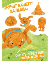 Пес Абрикос изучает и запоминает