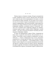 Безумие белых ночей. Валиуллин Ринат Рифович