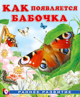 Как появляется бабочка