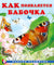 Как появляется бабочка