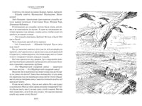 Удивительное путешествие Нильса с дикими гусями. Большие книги