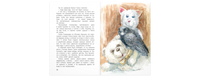 Я считаю ворон. Две истории из жизни птиц и людей Printed books ЭНАС
