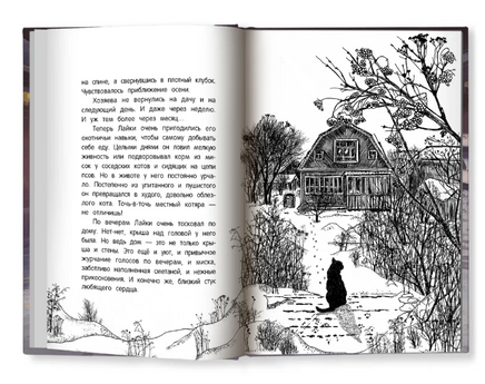 Долгая дорога домой Printed books Феникс-Премьер