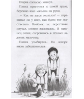 Истории для школьников. Моя библиотека. С.Сорока