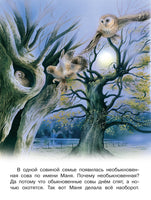 Приключения совы и её друзей