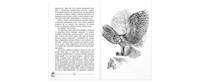 Приключения Саджо и ее бобров Printed books ЭНАС
