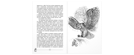 Приключения Саджо и ее бобров Printed books ЭНАС