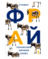 Теннисные мячики небес. Фрай Стивен