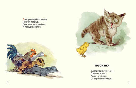 Посмотрите какие котята. Матвеев В. Странички-невелички Printed books Речь