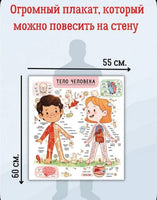 Секреты тела человека. Книга с секретами.