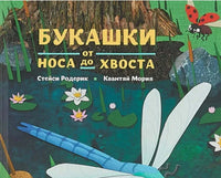 Птицы и букашки:от носа до хвоста