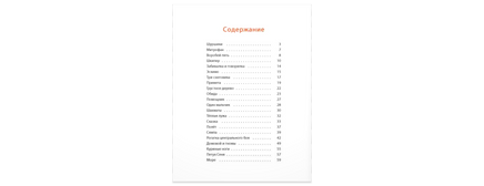 Шуршики и другие истории про Саньку : рассказы Printed books ЭНАС