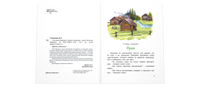 Счастливо. Ивушкин! Printed books ЭНАС