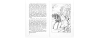 Дом под сиренями Printed books ЭНАС