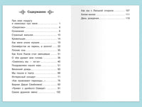Пивоварова И. Рассказы Люси Синицыной, ученицы третьего класса Printed books Омега