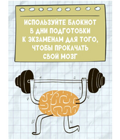 Нейроподготовка к экзаменам. Ш. Ахмадуллин
