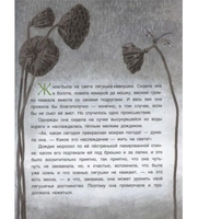 Лягушка путешественница. Гаршин Всеволод Михайлович