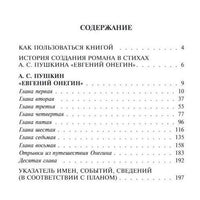 Евгений Онегин. Классика с разбором произведений