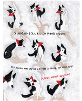 Чао, давай дружить. А.Соя Printed books ИД Анастасии Орловой