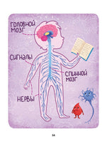 Как устроен человек: энциклопедия для малышей в сказках