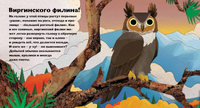 Птицы и букашки:от носа до хвоста