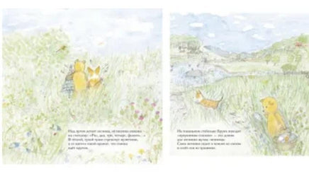 Лето Мишки Бруно. Гунилла Ингвес Printed books Мелик Пашаев