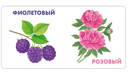 Книжки - картонки. Цвета в природе Printed books Робинс