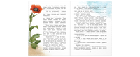 Ботанические сказки Printed books ЭНАС