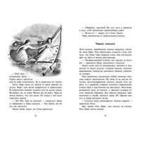 У Серебряного озера Printed books Мелик Пашаев