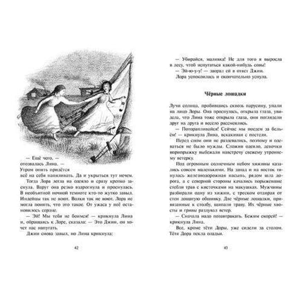 У Серебряного озера Printed books Мелик Пашаев
