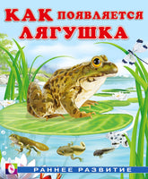Как появляется лягушка