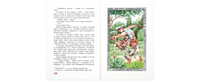 Два великих фантазёра Printed books ЭНАС