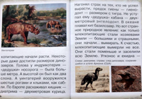 Животные Земли. Прошлое и будущее