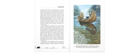Бродяги Севера: повесть Printed books ЭНАС