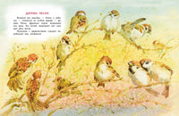 Воробьишкина весна. Сладков Н.И. Printed books РЕЧЬ