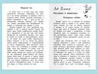 Внеклассное чтение 1 класс. Школьная библиотека