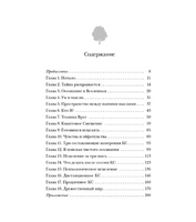 Секрет мгновенного исцеления: Квантовая синхронизация здоровья